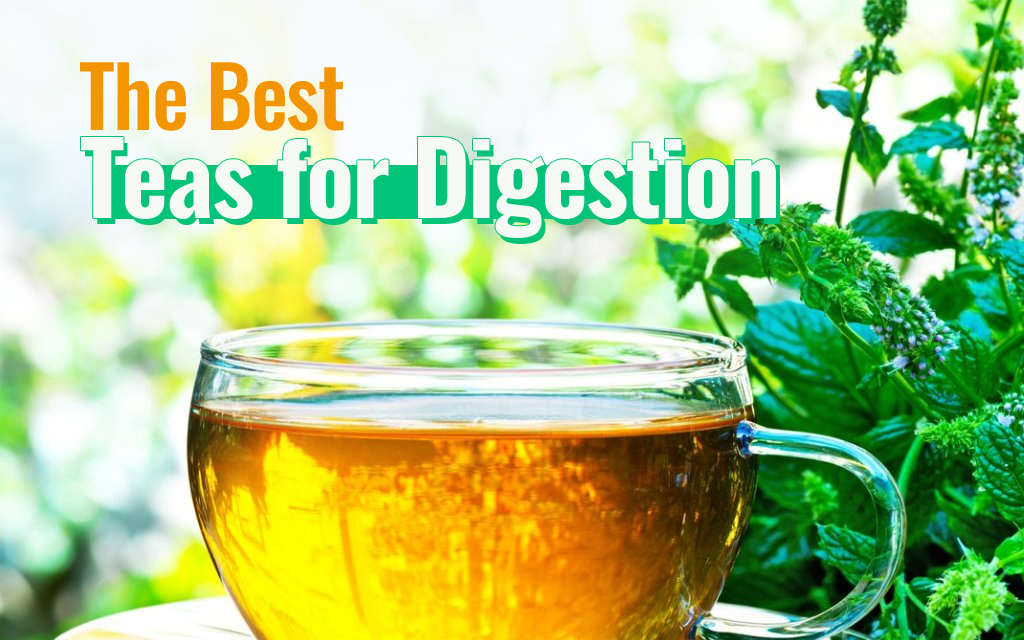 The Best Teas For Digestion – Golden Tips Tea (India)