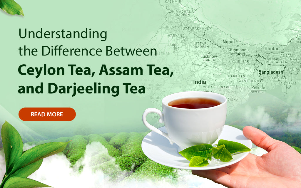 Understanding the Difference Between Ceylon Tea, Assam Tea, and ...