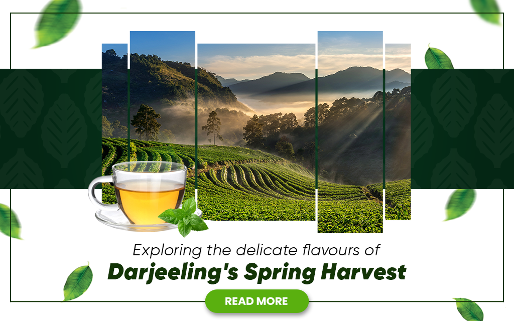 Darjeeling first flush