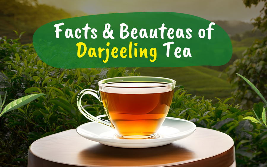 Quick Facts About Darjeeling First Flush Tea