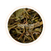 Spring Confluence Darjeeling Black Tea First Flush 2024