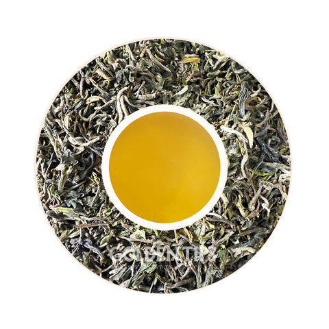 Spring Opera Darjeeling Black Tea First Flush 2025