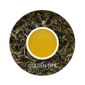 Spring Clonal Wonder Darjeeling Black Tea First Flush 2024