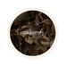 Summer Swing Darjeeling Black Tea Second Flush 2024