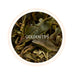 Spring Royale Darjeeling Black Tea First Flush 2024