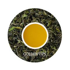 Spring Opera Darjeeling Black Tea First Flush 2024